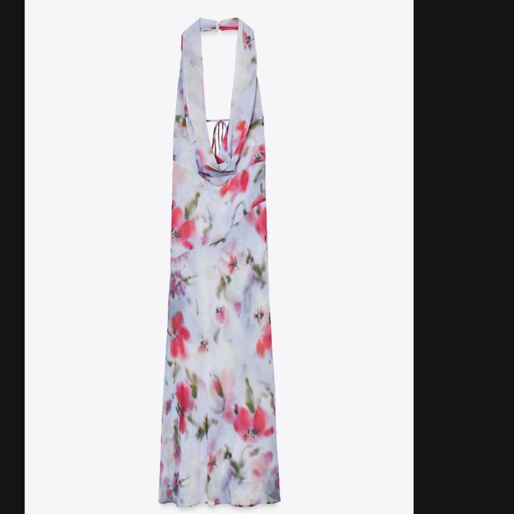 Zara Cowl Neck Maxi Dress